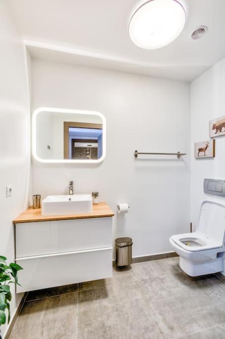 Splendor 3 Bedroom Flat In Silver Mountain Poiana Brasov Ngoại thất bức ảnh